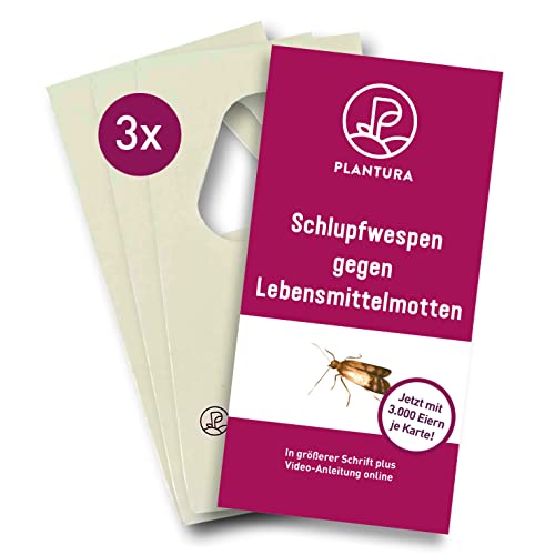 Plantura Schlupfwespen gegen Lebensmittelmotten, 3 Karten à 3 Lieferungen,...