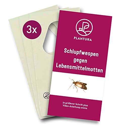 Plantura Schlupfwespen gegen Lebensmittelmotten, 3 Karten à 4 Lieferungen,...